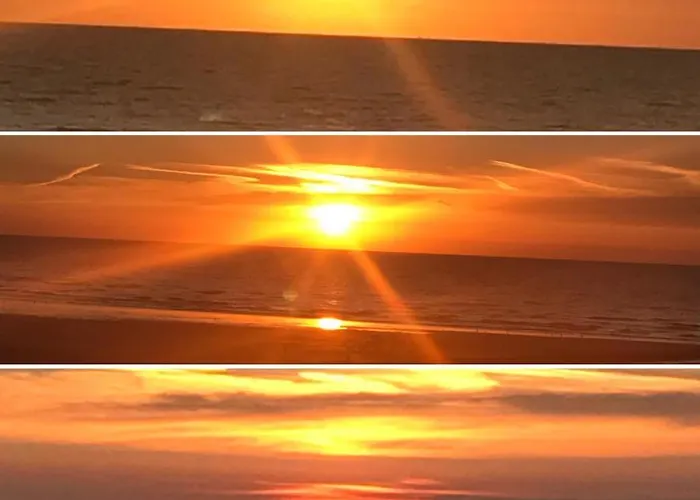 Apartment West-end *